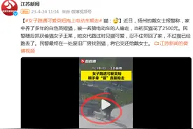 女子路遇可爱英短抱上电动车顺走：见猫可爱，忍不住带回家图片