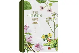 《手绘中国钓鱼岛植物》：钓鱼岛上有哪些代表性植物？图片