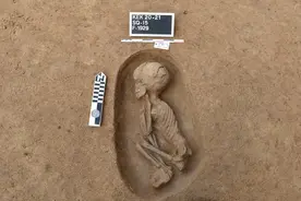 古人的预期寿命是多少？图片
