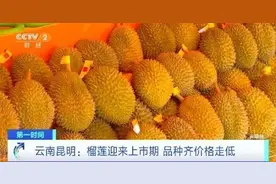 20多元一斤！价格大降，很多人爱吃图片