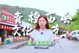 古会返场，约起来！枣庄峄城青檀庙会文化节五一强势归来图片