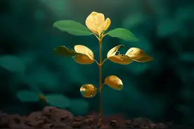 把金子埋在土里，真能长出金子！已经有人在靠它赚钱了图片
