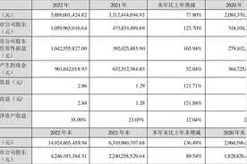 锦浪科技：2022年净利润同比增长123.70% 拟10派4元图片