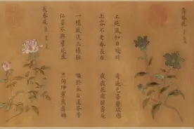 南宋绘画中的博物图谱——以旧传杨婕妤《百花图卷》为例图片