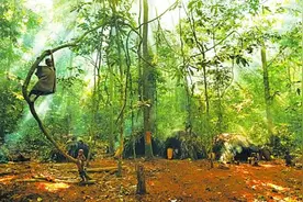 他们超越人类身体极限图片