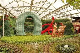 有“潍”｜解锁“菜博会”越做越红的密码图片