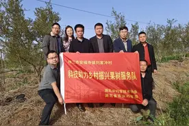 助力乡村振兴！湖北省农科院果茶专家深入荆楚各地“科技闹春耕”图片