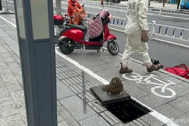 巨大蜂窝倒长在杭州一窨井盖下，消防员火攻处置图片