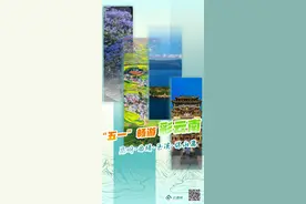 “五一”畅游彩云南️①｜这些景区免门票！还有特色节庆活动“限时上线”……图片