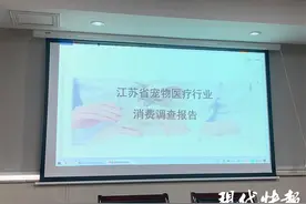 收费不透明、没有病历处方、分装药品无标识……给宠物看病当心这些“坑”！图片