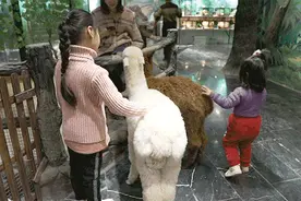 万楼青年码头、盘龙大观园……五一来湘潭“FUN”肆嗨图片