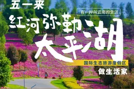 “五一”来红河弥勒 体验一种叫“太平湖”的生活图片