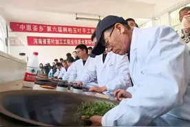 桐柏：手工制茶 香飘四海图片