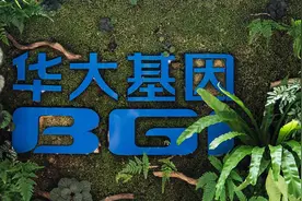 华大基因一季度利润大跌近九成，非常规业务受需求影响下降明显图片