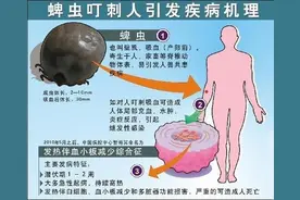 老太被蜱虫叮咬去世 四名亲属相继感染：每年5-10月是蜱虫活跃期图片