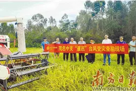 聚焦保险主业 做实体经济“守护者”图片