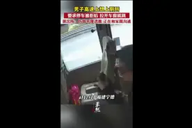 男子高速上想上厕所，要求停车被拒后，拉开车窗就跳，派出所回应图片