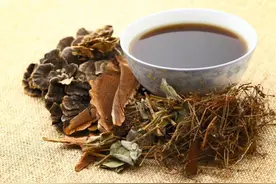 蟑螂竟能入药？中医专家：与生活中看到的不是一回事图片