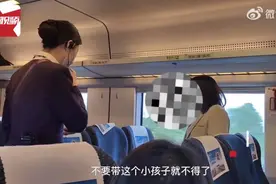 婴儿高铁上哭闹，女子和宝妈对骂？12306：复兴号智能动车组列车设有静音车厢图片