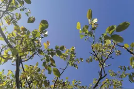 每日精言（414）拐角处， 能看见不一样的风景图片