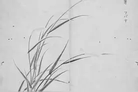 白茅藉藉 谁说无名？图片