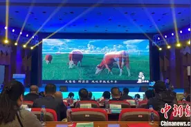 观苍狼、驰沃野：天边草原乌拉盖走出草原作推介图片