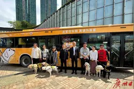 国际导盲犬日｜坐9路车，或偶遇敬业的汪星人图片