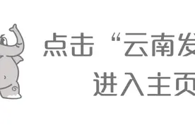 车主看过来，云南ETC业务办理有新变化图片