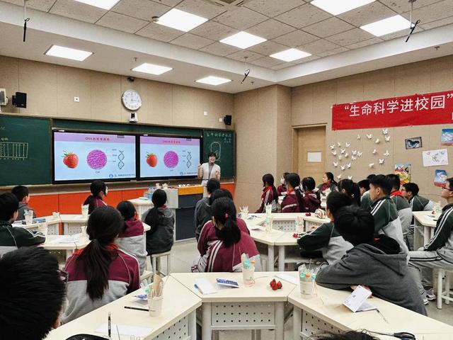 【视频】世界DNA发现日：苏州初中生体验“水果密室逃脱之旅”DNA提取实验