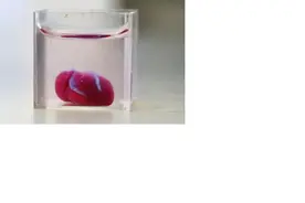 美媒：3D打印器官正在变成现实图片