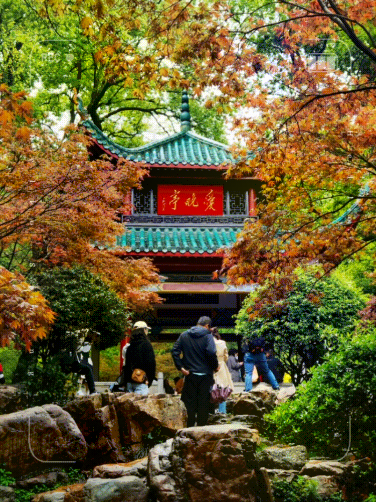 请提前预约入园！岳麓山橘子洲预约系统升级了！快来get一下图片
