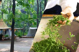 彻底火了！这个假期，年轻人都来日照这里咔！咔！咔！图片