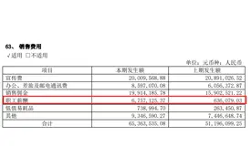 销售人员增加31%，薪酬支出一年却增长9倍？同庆楼回应其中原因图片