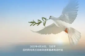 习言道｜中方所作所为光明正大图片