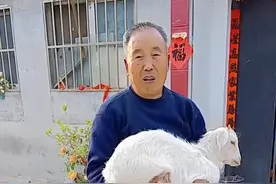 小羊羔的回家路，小村庄的文明路图片