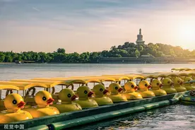 未预约，勿前往！北京多家市属公园“五一”部分日期已约满图片