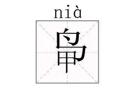 冲上热搜！罕见姓氏突然爆火！佛山原来有人姓“乜”……图片
