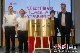 “中国筇竹之乡”云南大关携良品铺子打造高品质零食 助本土好味“出圈”图片