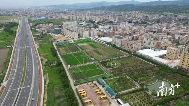 潮南区仙城镇：荒地披绿 仙城觅仙 | 竞跑“百千万” 再造“镇能量”④