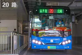“打个公交”？石家庄站巡游网约公交接您回家服务28日试运营图片