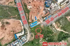 南宁180岁古树将搬家，这条“断头路”有望修好了图片