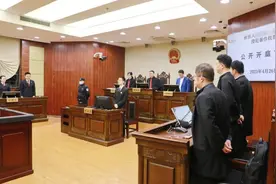 仿冒“玲娜贝儿”毛绒玩偶，各领刑罚！图片