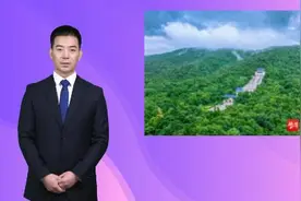 紫牛AI生活|“五一”游览钟山风景区需实名制预约，景区新增设2条直通车线路图片