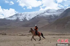 西藏青稞地里的赛马人图片