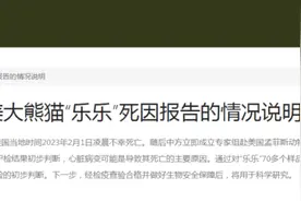 “乐乐”死因公布！图片