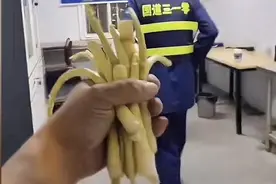 拉笋被收高速费，司机质疑河南渑池收费站，官方回应：验货人员是专业的图片