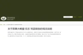 旅美大熊猫“乐乐”死因公布！图片