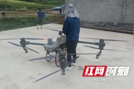 安化县渠江镇开展松线虫防治宣传与防控灭杀图片