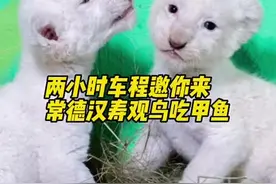 “五一”长沙人去哪儿玩｜两小时车程，邀你来常德汉寿观鸟吃甲鱼图片