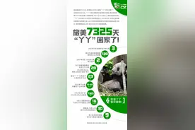 国宝“丫丫”回家了，数看她7325天的旅美生涯图片